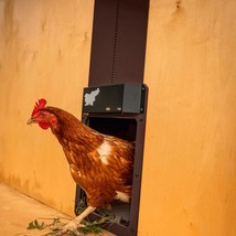 Battery-Powered Automatic Chicken House Door - $42.97