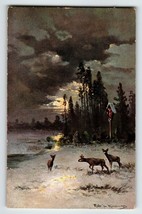 Deer Sunset Snow Trees Clouds Postcard Signed Muller Wildlife HKM 419 Germany - £12.64 GBP