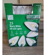 Home Accents 25 Warm White C9 Steady Lit LED String Light Green Wire Chr... - $29.69