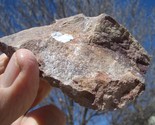 COFFINITE  URANIUM ROCK  4.5 OZ. 22,000cpm  JURASSIC CANYON  $17.00 + $9... - $17.00