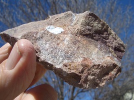 Coffinite Uranium Rock 4.5 Oz. 22,000cpm Jurassic Canyon $17.00 + $9.50 S/H - £13.54 GBP