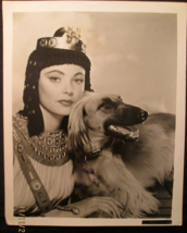 GENE TIERNEY: (ORIG,VINTAGE 1940,S PHOTO,RARE CANDID,PHOTO) CLASSIC - $123.75