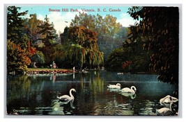 Swans In Beacon Hill Park Victoria British Columbia BC Canada DB Postcard P28 - £2.29 GBP
