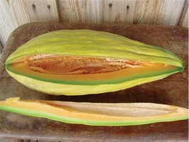 Banana melon 20 - 100 seeds rare sweet Heirloom cantaloupe musk big Heirloom 24" - $2.34+