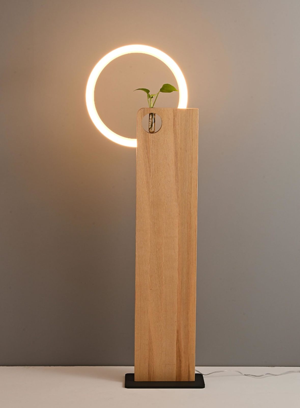 interoknack Modern Floor Lamp with Wooden LED Ring, Minimalist Solid Wood Plant  Item image 4