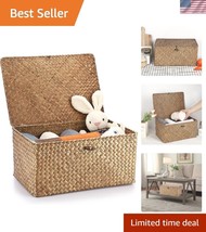 Natural Wicker Shelf Baskets with Lift-Off Lid - Coffee Color, Rustic Charm - $51.00