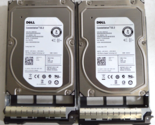 2 X Dell Constellation ES.2 3TB 3.5&quot; SAS Server HDD - ST33000650SS WITH ... - $45.77