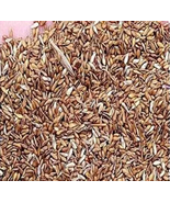 Zoysia Japonica Grass See Details - (Color: Seed) 30000Pcs  - £16.50 GBP