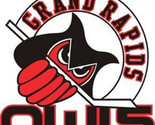 Grand Rapids Owls IHL Hockey Mens Polo XS-6X, LT-4XLT New - $26.99+