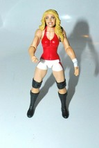 2017 Mattel Wwe Diva Trish Stratus Action Figure. GDB98 - $14.00