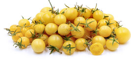 Simple Pack 20 seed Vegetable Tomato White Cherry - £6.23 GBP