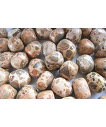Three Leopard Jasper Peru Tumbled Stones Chunky 20-25mm Healing Crystals... - $5.04