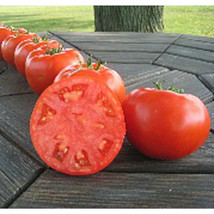 50 Seeds Chancha Tomato Juicy Vegetable Garden Edible Fresh Seeds - $10.50