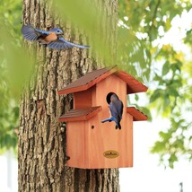 Mansion Bluebird House , Ideal Gift for Bird Lovers - $807.90 MXN