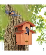 Mansion Bluebird House , Ideal Gift for Bird Lovers - $806.67 MXN