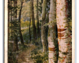 Lot of 3 White Mountain Birches New Hampshire NH WB Postcard U3 - $6.09