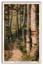 Lot of 3 White Mountain Birches New Hampshire NH WB Postcard U3 - £4.86 GBP