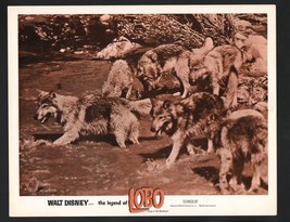Lobo Lobby Card-A wolf pack in a river - £25.82 GBP