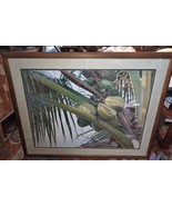 Artist Gary Reed Signed Framed Print Coconuts 40.25 x 32.25 Hawaii Very ... - $210.60 CAD