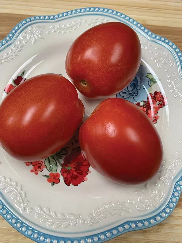 50 Seeds Cabo Tomato Juicy Tomatoe Garden Food - $6.09