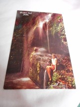 Vintage Postcard unposted Bushkill Falls, PA Bridal Veil Falls 1960s w/ ... - $111.60 MXN