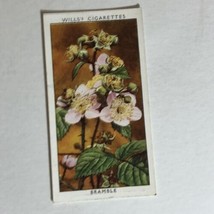 Bramble Wild Flowers Wills Vintage Cigarette Card #15 - £2.30 GBP