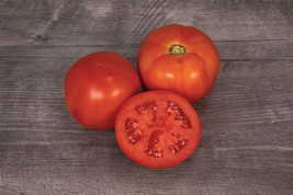 New Fresh 50 Seeds Bobcat Tomato Juicy Tomatoe Vegetable Garden - $7.00