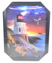 Lighthouse With Seabirds 3D 3 Dimension Lenticular Picture With Plastic Frame - $23.75