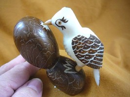 (TNE-BIR-WO-392B) Woodpecker bird birds TAGUA NUT figurine carving woodpeckers - £22.64 GBP