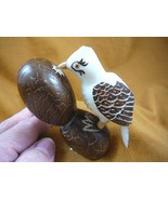 (TNE-BIR-WO-392B) Woodpecker bird birds TAGUA NUT figurine carving woodp... - $28.75