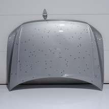 2018-2024 Vw Volkswagen Tiguan Silver Front Hood Bonnet Shell Cover Pane... - $168.30