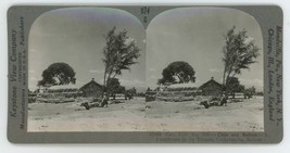 c1900&#39;s Real Photo Stereoview Chile and Bolivia a Farmhouse in the Yungas - £7.46 GBP