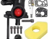 Carburetor Kit For Weed Eater Mower 3.5 HP Briggs Stratton Engines 79547... - $28.11