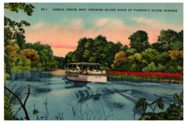 Jungle Cruise Boat on Silver River Silver Springs Florida Postcard Posted 1949 - £11.64 GBP