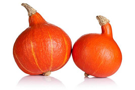 25 Ambercup Squash Seeds Planting USA Shipping - £7.70 GBP