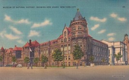 Museum of Natural History New York City NY New Annex Postcard C57 - £2.24 GBP