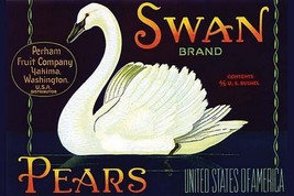 Swan Brand Pears - Art Print - £17.63 GBP+