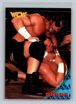 Riggs #57 1998 Topps WCW/nWo - $1.99