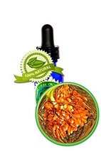 Turmeric Root Oil Extract - 1oz (30ml) - Powerful Antioxidant, Anti-Aging, Hair  - £10.17 GBP