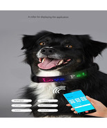 LED pet collar, APP can change the word and adjust the length - $40.00