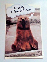 American Greetings Birthday Card Bear Theme &quot;Is That A Forest Fire?&quot; - $7.35