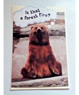 American Greetings Birthday Card Bear Theme &quot;Is That A Forest Fire?&quot; - £5.74 GBP