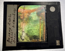 Antique Color Glass Magic Lantern Slide “Saxony Peevish Gate” - $25.52 CAD