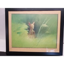 Walt Disney scene of Baby Bambi from Bambi Lithograph - Member's only collectabl - $32.15