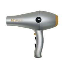 Blowpro Titanium Gold Style Dryer - $89.90