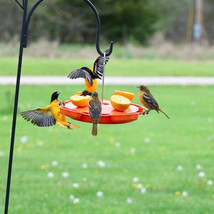 Oriole Feeder Ultimate Oriole Feeder Orange NEW Made In USA - £21.45 GBP