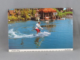 Vintage Postcard - Sea World Dolphin Ride San Diego - Continental Card - £11.95 GBP