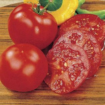 50 + seeds Park&#39;s Season Starter Tomato Tomatoe Vegetable Garden Edible Canning  - £7.05 GBP