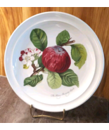 Portmeirion Pomona Dinner Plate The Hoary Morning Apple 10.5&quot; - $24.74