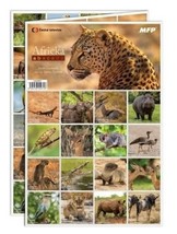 Memory Game Pexeso Safari Animals, (Find the pair!), European Product - £5.79 GBP